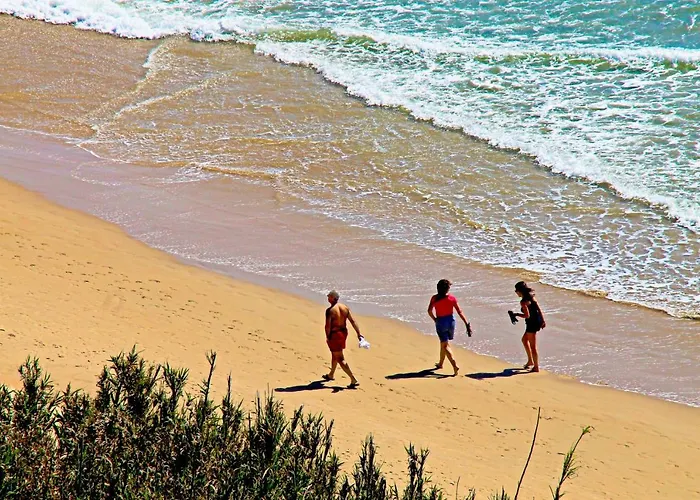 Calle Bilbao 公寓 科尼尔-德拉弗龙特拉